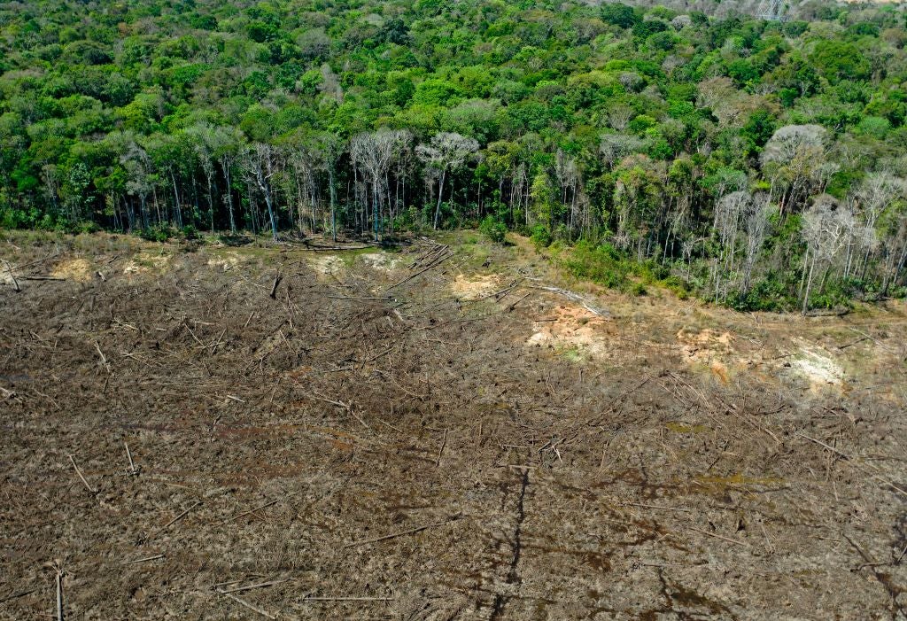 brazil-deforestation-amazon