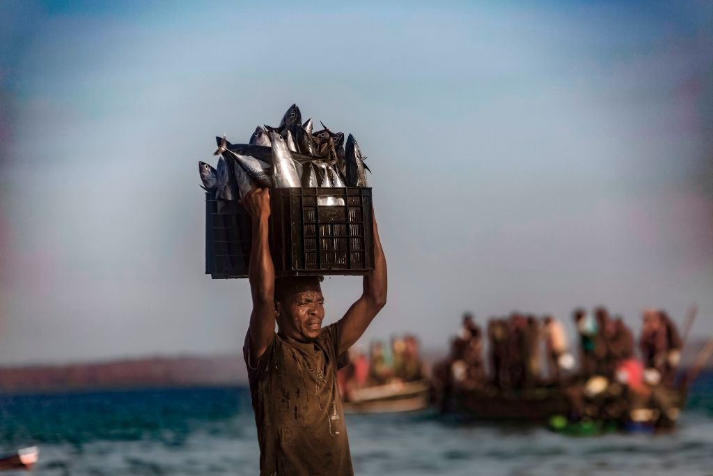 Opinion: Scrap harmful fishing subsidies for the workers, the fish and the planet