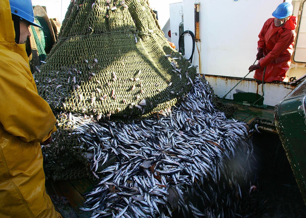 WWF reports criticises EU fisheries on pay, subsidies and illegal practices