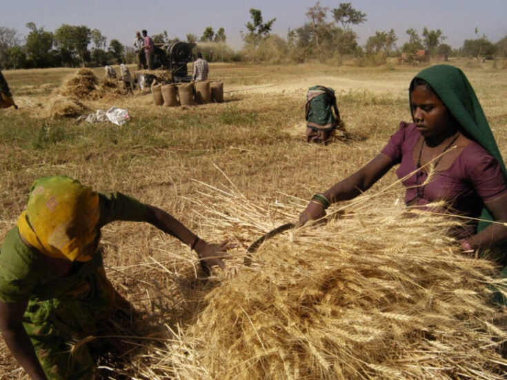 Why we must bridge the gender divide in our food systems