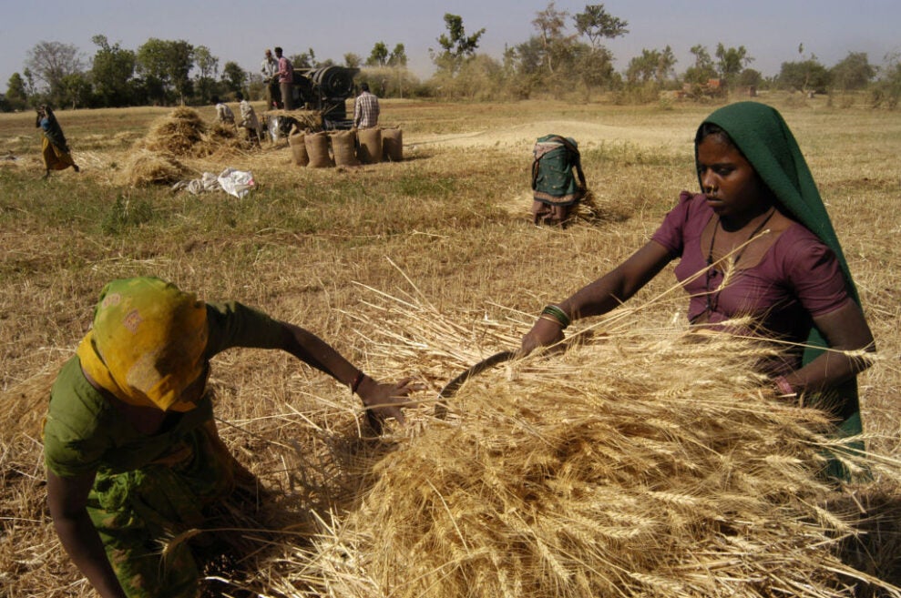 women-food-farming