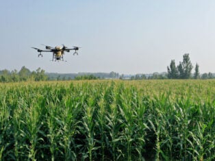 Agribusiness trends to look out for in 2022