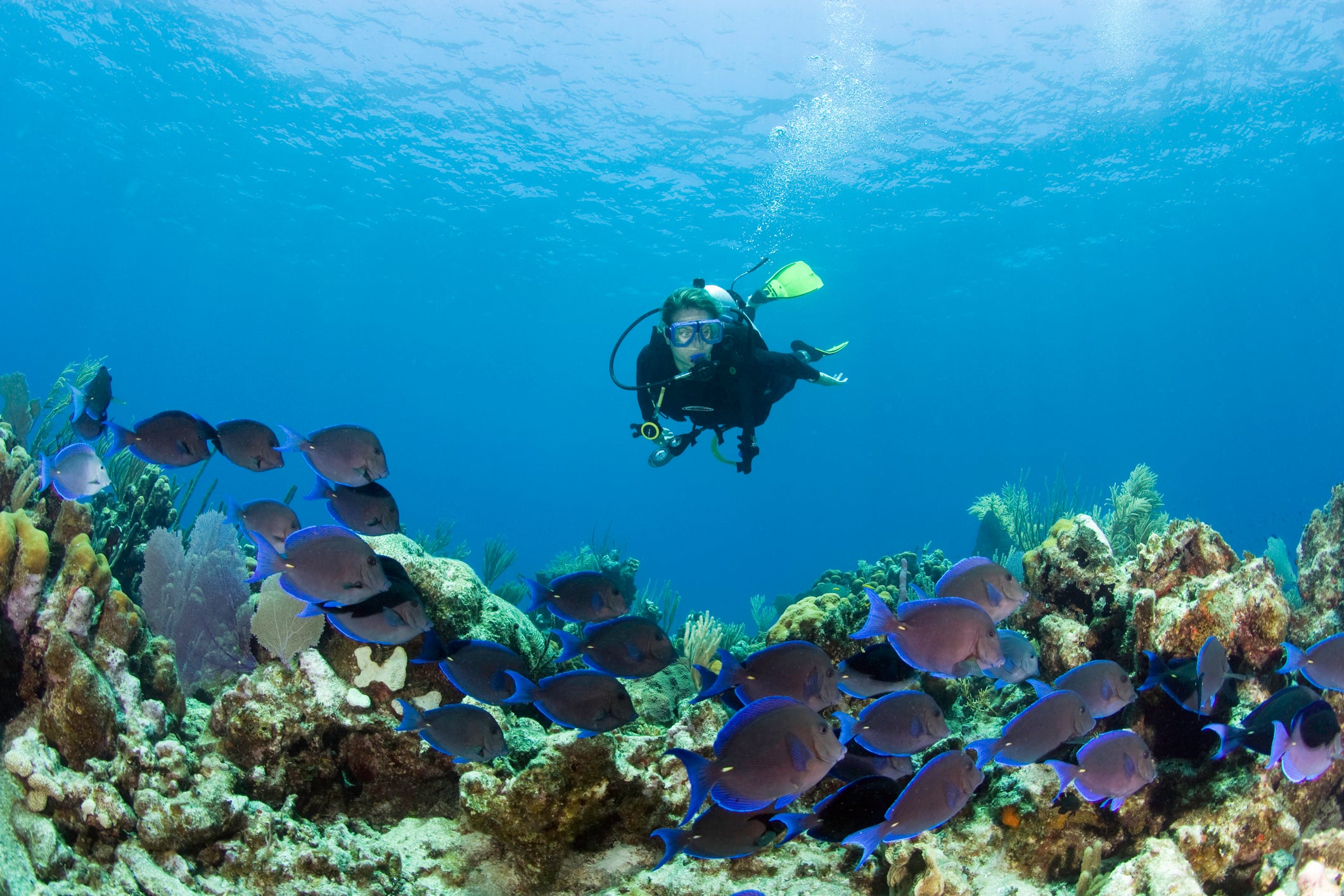 Dive in: Why Turks and Caicos is a prime location for divers