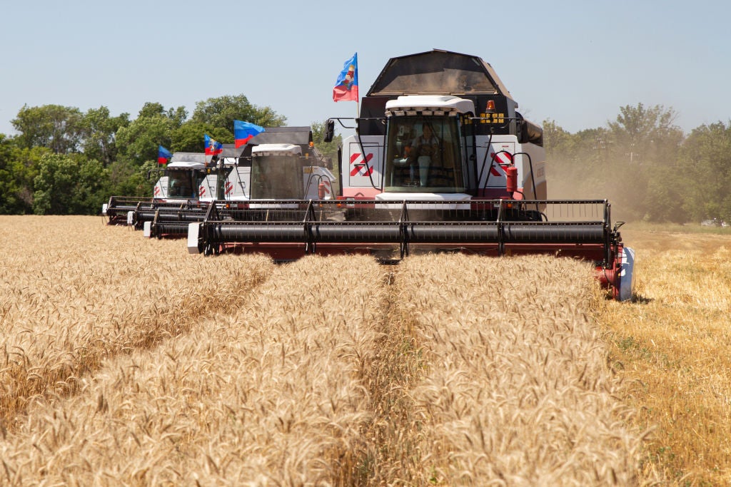 Will Ukraine invasion cause a rise in wheat prices? Investment Monitor