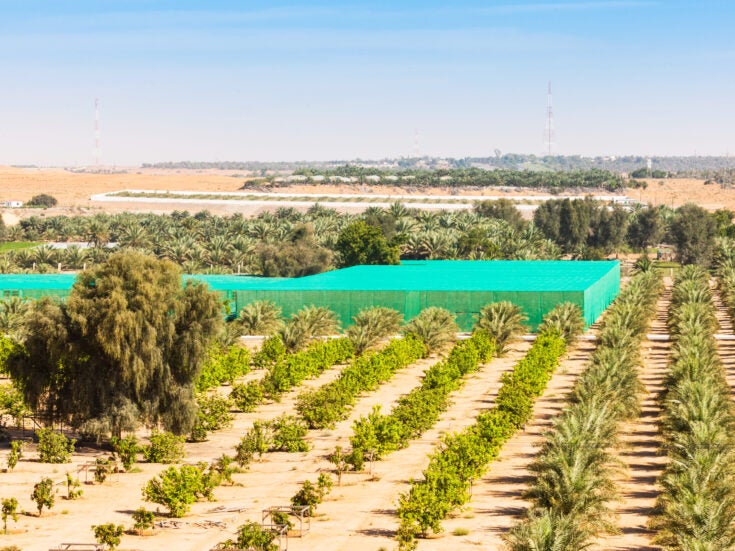Cultivating investment in Abu Dhabi’s AgTech sector