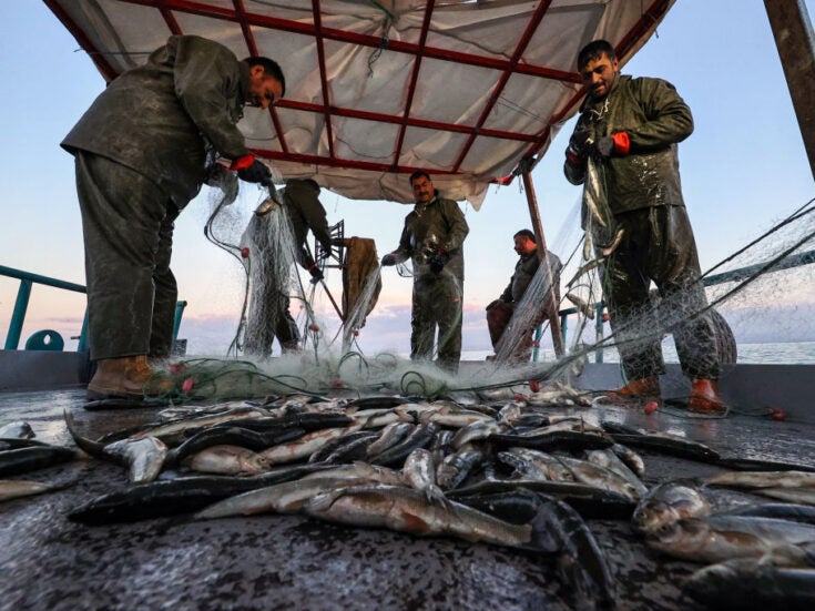 "Blue transformation" of aquatic food production crucial, says UN FAO report