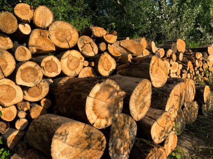FDI in forestry and wood: The state of play