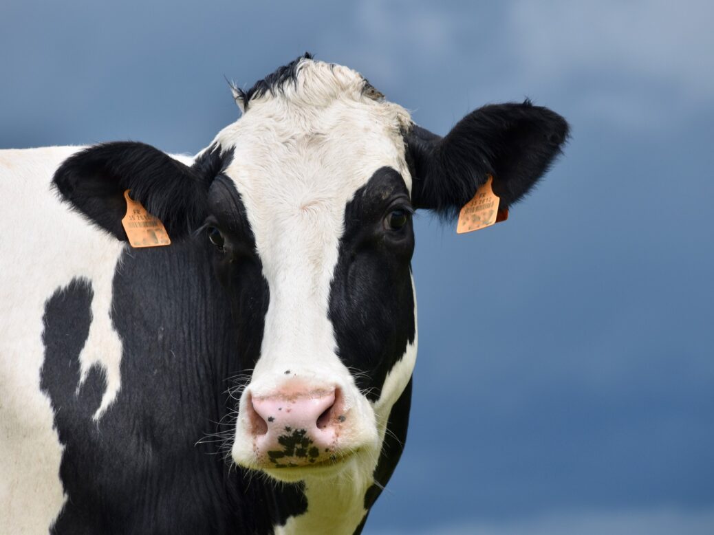 Dairy co-operatives, including Arla Foods, are pursuing regenerative agriculture practices