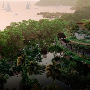 Costa-Rica-rainforest