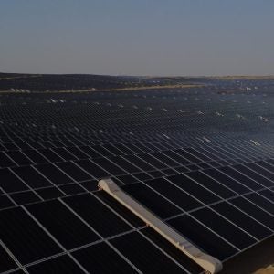 British International Investment