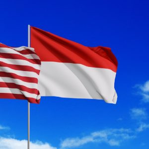Indonesia US flag