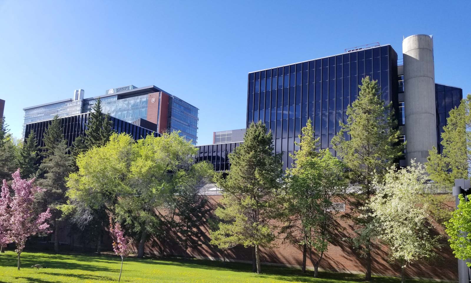 AI and beyond: Global tech investment trends and where Alberta leads