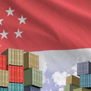 Singapore flag and big stack of shipping cargo containers in docks with sky background close up