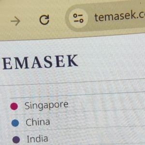 Temasek is a sovereign wealth fund based in Singapore. It is owned by the Singaporean government and invests globally across various sectors.
